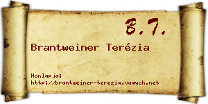 Brantweiner Terézia névjegykártya