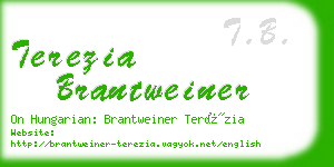 terezia brantweiner business card